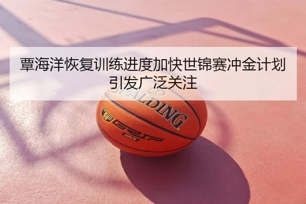 覃海洋恢复训练进度加快世锦赛冲金计划引发广泛关注