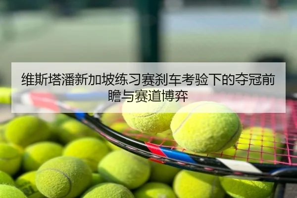 维斯塔潘新加坡练习赛刹车考验下的夺冠前瞻与赛道博弈